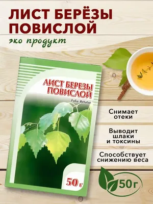Листья березы высушенные запарка в баню купить по цене 179 ₽ в  интернет-магазине KazanExpress