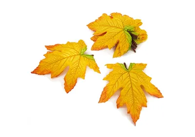 Купить листья клена декоративные 7х8 см, цвет светло-зеленый