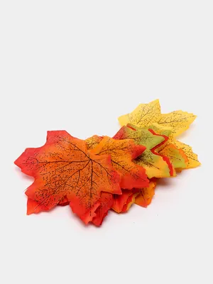 Почему краснеют листья клена: влияние разновидности клена на цвет