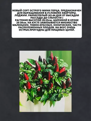 Бак \"Любимый сад\" 100л с крышкой М3386 Купить в Молдове Кишинёве Цена