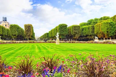 Париж франция 08 июля 2016 люксембургский дворец и парк в париже  люксембургский сад один из самых красивых садов в париже франция | Премиум  Фото
