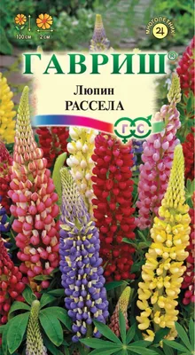 Дикое царство люпина - Агрокомплекс «Племхоз имени Тельмана»