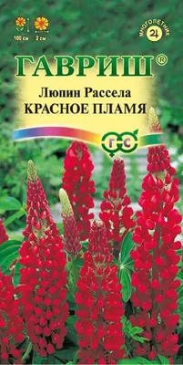 Люпин Король сада, смесь купить в Москве в интернет-магазине Семена цветов