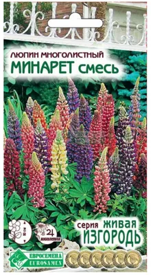 Семена Люпин купить в интернет-магазине ФОНД СССР с доставкой по России