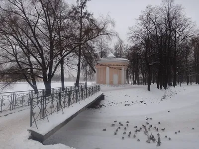 Лопухинский сад, Санкт-Петербург: лучшие советы перед посещением -  Tripadvisor