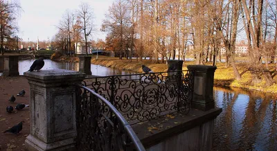 Санкт-Петербург Live - Лопухинский сад - памятник ландшафтной архитектуры,  выполненный в английском стиле. ⠀ Площадь сада - 5,7 га. ⠀ Вход в Лопухинский  сад свободный, его территория открыта круглосуточно. ⠀ Любите там