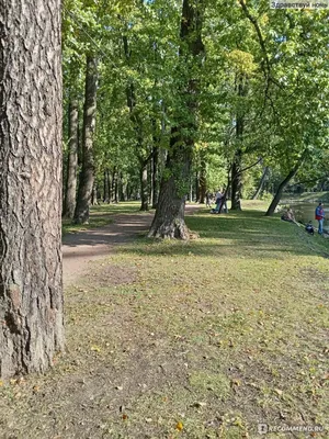 Лопухинский сад in Saint Petersburg