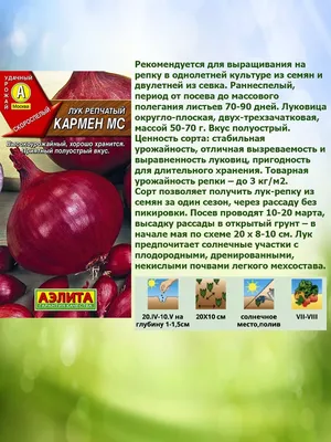 Семена Лук на зелень Энерджи 0.5г Престиж в Новосибирске по цене 29 руб. -  Два Садовода