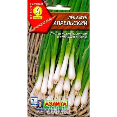 Пензенцам пояснили, почему в Бессоновском районе больше не выращивают лук |  Пенза-Обзор - новости Пензы и Пензенской области