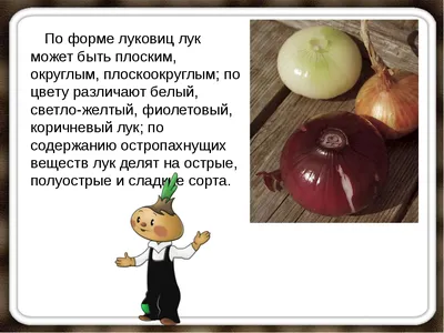 Маска из лука и отвар из крапивы: верить ли советским рецептам для волос -  Газета.Ru