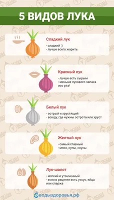 Как употреблять лук для похудения