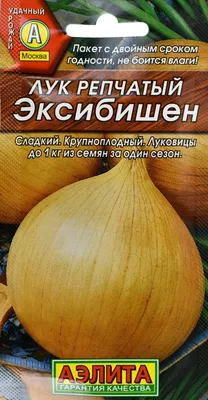 Лук Эксибишен F1 (инкрустированные, 5г, Best Harvest) - купить Семена лука  в Киеве и Украине, выгодная цена Лук Эксибишен F1 в интернет-магазине  Agrostore ТМ (Агростор)