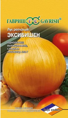 9 секретов лука ЭКСИБИШЕН. Огромные вкусные луковицы с хранением до весны!