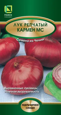 Лук репчатый Кармен МС 1 г купить недорого в интернет-магазине товаров для  сада Бауцентр