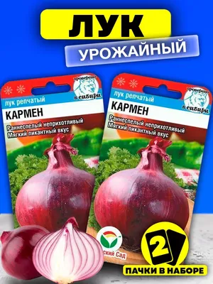 Голландский лук севок Ред Кармен 1 кг, озимый лук тыканка | Интернет  магазин Агро-Качество