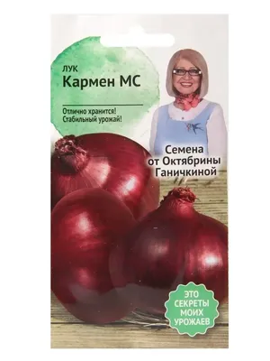 Лук репчатый Кармен МС 0,5 г XS купить недорого в интернет-магазине товаров  для сада Бауцентр