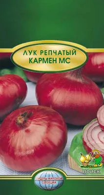 Лук севок озимый Кармен 0.5кг Голландия: от магазина товаров для сада и  огорода «dimsadhorod.com.ua»