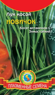 Лук косой (чеснок горный) — купить в Красноярске. Пряные и лекарственные  травы на интернет-аукционе Au.ru