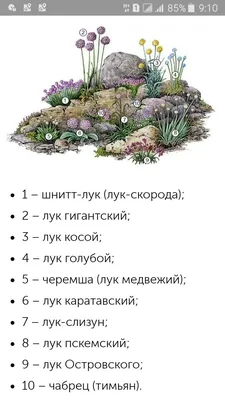 Уличная конкурентоспособная камуфляжная мягкая сумка для стрел из лука с  косой спинкой для стрел на одно плечо для охоты с луком | AliExpress