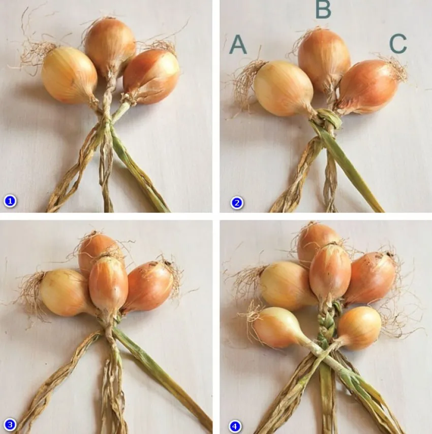 Как заплести лук в косу. Лук сплетенный в косы.