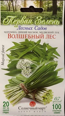 Черемша или медвежий лук — кладезь витаминов » Афіцыйны сайт раённай газеты  Міёрскія навіны