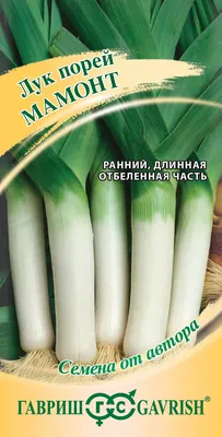 Семена Лук-Порей Элефант 0,5гр (а/ф Сибирский Сад) купить за 29 р. в  садовом центре АСТ Медовое