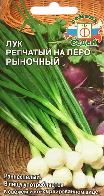 Лук репчатый Ред Свит