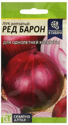 ЛУК РЕПЧАТЫЙ СЕМЕНА КУПИТЬ В НОВОСИБИРСКЕ РЕД БАРОН