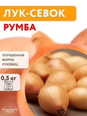 Ависта лук-севок Румба 0.5 кг купить товары для сада и огорода с быстрой  доставкой на Яндекс Маркете