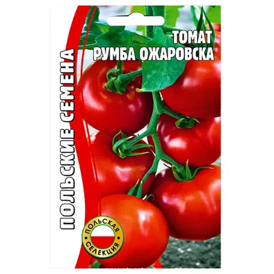 Роза полиантовая Румба (Rumba) купить 〛по выгодной цене в Киеве и Украине |  Фото | Отзывы