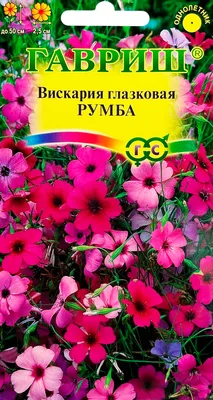 Интерьерная кровать Румба 1,8 с подъемным мех. | Цена 36750 руб. в  Екатеринбурге на Диванчик-Екб