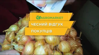 Семена лук репчатый Premium seeds Семейный хоровод 1 уп. - купить в Москве,  цены на Мегамаркет