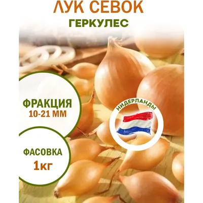 https://chelyabinsk.leroymerlin.ru/product/luk-sevok-gerkules-10-21-035-kg-82539894/