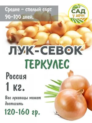 Купить Лук севок Кармен 10/21 1 кг. за 430 руб. почтой | «Сад-Эксперт» – Лук -севок