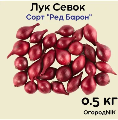 Лук-севок Кармен 1 кг - купить в Дмитрове, Москве и Московской области по  низкой цене