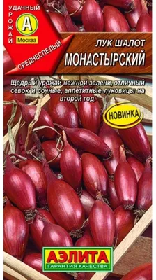 Лук шалот ИЗУМРУД. Лук многолетний. Семена овощей. Интернет-магазин  Уральский дачник — Деликатесный вкус! Великолепно хранится!