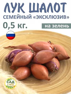 Семена Лук шалот Семейный 0.25 г (4788556) - Купить по цене от 12.50 руб. |  Интернет магазин SIMA-LAND.RU