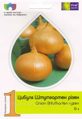 Семена лука Штутгарт, ТМ SEMO (Чехия), проф. пакет 500 грамм: продажа, цена  в Киевской области. Семена и рассада овощных культур от \"Торговый дом  Органик-Микс\" - 1033611368