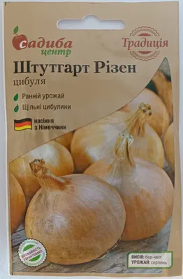 Продажа лук штутгарт на перо, зеленый лук (перо), Днепр - Прочие товары  садоводства, Дом и сад Place.UA