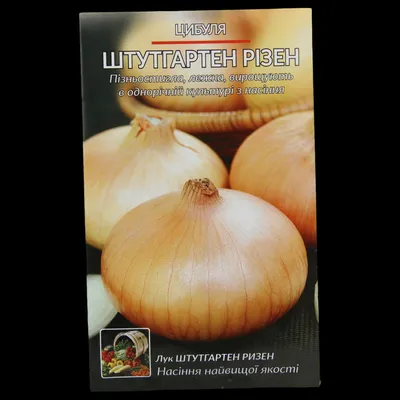 Продам лук Штутгарт, купить лук Штутгарт, Одесская обл — Agro-Ukraine