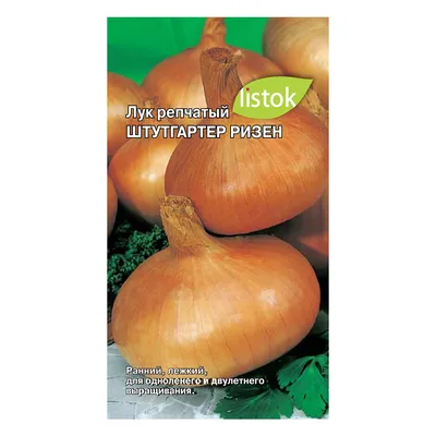 Лук Штутгартер Ризен (Semo) - купить семена в Украине: отзывы, цена,  описание ᐉ Agriks