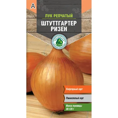 Лук Штутгартен Ризен большой пакет 5 г (ID#667110599), цена: 10.90 ₴,  купить на Prom.ua