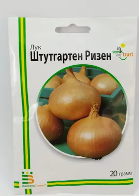 Лук Штутгартен Ризен фермерский пакет 5 г: продажа, цена в Киеве. Семена и  рассада овощных культур от \"AGRO-MART\" - 1368419285