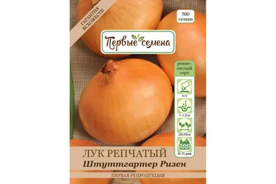 Луковицы Лук севок, Лук купить по выгодной цене в интернет-магазине OZON  (855630468)