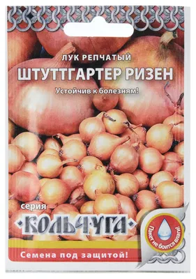 ꕤ Лук Штутгартен Ризен 10 г Фасованное • купить Лук Штутгартен Ризен 10 г  Фасованное по цене от 17.24 грн. в Украине