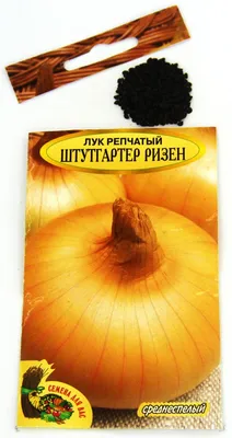 Семена Лук репчатый Штуттгартер Ризен Кольчуга купить с доставкой в  МЕГАСТРОЙ Чебоксары