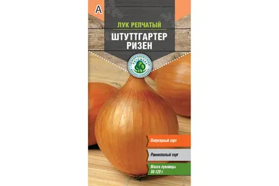 Лук Штутгартен Ризен 10 г Gl Seeds (ID#441544911), цена: 30 ₴, купить на  Prom.ua