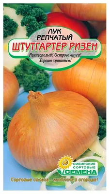 Лук репчатый Штуттгартер ризен 1г, семена | Купить в интернет магазине  Аэлита