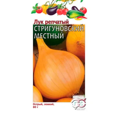 Лук репчатый Стригуновский Евросемена