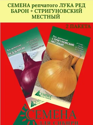 Лук овощной Стригуновский местный 🌿 обзор: как сажать, лук-севок и чеснок лука  Стригуновский местный - YouTube